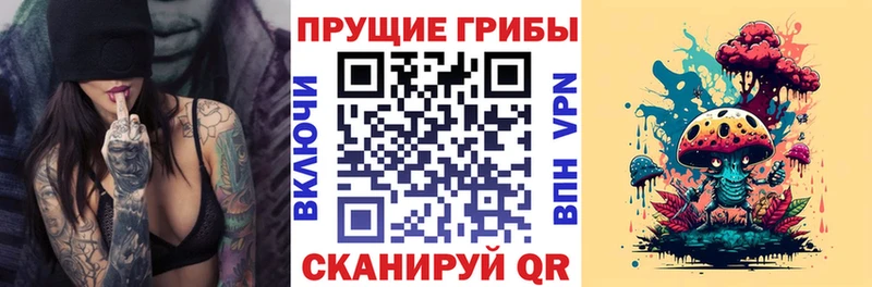 Псилоцибиновые грибы мухоморы  Дмитровск 